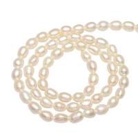 Cultured Rice Freshwater Pearl Beads, natural, different size for choice, more colors for choice, Hole:Approx 0.8mm, Sold Per Approx 14.1 Inch Strand