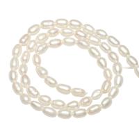Cultured Rice Freshwater Pearl Beads, natural, white, 4mm, Hole:Approx 0.8mm, Sold Per Approx 14.1 Inch Strand