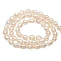 Perlas Arroz Freshwater, Perlas cultivadas de agua dulce, natural, más colores para la opción, 4-5mm, agujero:aproximado 0.8mm, Vendido para aproximado 14.1 Inch Sarta