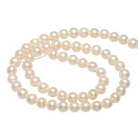 Cultured Round Freshwater Pearl Beads natural 4-5mm Approx 0.8mm Sold Per Approx 14.1 Inch Strand