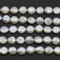 Koraliki Keishi z hodowlanych pereł słodkowodnych, Perła naturalna słodkowodna, Naturalne, biały, 13mm, otwór:około 0.8mm, około 31komputery/Strand, sprzedane przez Strand
