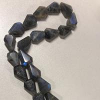Natural Labradorite Beads, faceted, 15x20x7mm, Hole:Approx 0.6mm, Approx 26PCs/Strand, Sold Per Approx 16 Inch Strand