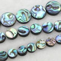 Abalone Shell Beads, Flat Round, different size for choice, Hole:Approx 1mm, Sold By Strand