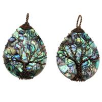 Natural Abalone Shell Pendants, with Brass, antique copper color plated, different styles for choice, 52x31x10mm, Hole:Approx 8mm, Sold By PC