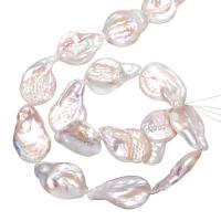 Button Kulturan Slatkovodni Pearl perle, Dugme, prirodan, bijel, 15-22mm, Rupa:Približno 0.8mm, Prodano Per Približno 15 inčni Strand