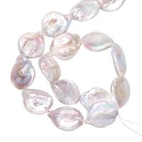 Bouton de culture des perles d'eau douce, perle d'eau douce cultivée, naturel, blanc, 19-20mm, Trou:Environ 0.8mm, Vendu par Environ 15 pouce brin