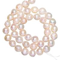 Cultured Potato Freshwater Pearl Beads, natural, white, 8-10mm, Hole:Approx 0.8mm, Sold Per Approx 15 Inch Strand