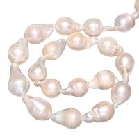 Perles de nacre de culture d'eau douce nucléées, perle d'eau douce cultivée, naturel, avec troll, blanc, 11-13mm, Trou:Environ 0.8mm, Vendu par Environ 15 pouce brin