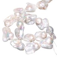 Barock kultivierten Süßwassersee Perlen, Natürliche kultivierte Süßwasserperlen, natürlich, weiß, 20-30mm, Bohrung:ca. 0.8mm, verkauft per ca. 15 ZollInch Strang