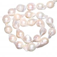 Barock kultivierten Süßwassersee Perlen, Natürliche kultivierte Süßwasserperlen, natürlich, weiß, 11-13mm, Bohrung:ca. 0.8mm, verkauft per ca. 15 ZollInch Strang