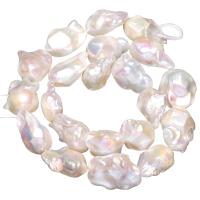 Barock kultivierten Süßwassersee Perlen, Natürliche kultivierte Süßwasserperlen, natürlich, weiß, 14-20mm, Bohrung:ca. 0.8mm, verkauft per ca. 15 ZollInch Strang