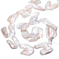 Hodowlane perły słodkowodne, Perła naturalna słodkowodna, Biwa, Naturalne, biały, 20-30mm, otwór:około 0.8mm, sprzedawane na około 15 cal Strand