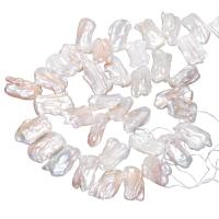 Hodowlane perły słodkowodne, Perła naturalna słodkowodna, Biwa, Naturalne, biały, 11-18mm, otwór:około 0.8mm, sprzedawane na około 15 cal Strand