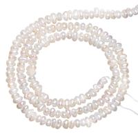 Perles nacres baroques de culture d'eau douce , perle d'eau douce cultivée, naturel, blanc, 2.8-3.2mm, Trou:Environ 0.8mm, Vendu par Environ 15 pouce brin