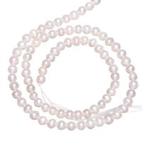 Cultured Round Freshwater Pearl Beads natural 3.5-4mm Approx 0.8mm Sold Per Approx 15 Inch Strand