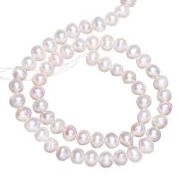 Perles de nacre rondes de culture d'eau douce, perle d'eau douce cultivée, naturel, blanc, 5-6mm, Trou:Environ 0.8mm, Vendu par Environ 15 pouce brin