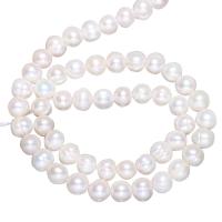 Cultured Potato Freshwater Pearl Beads natural with troll 7-8mm Approx 0.8mm Sold Per Approx 15 Inch Strand