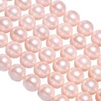 Peties perles de la mer du sud, coquille de mer du sud, Rond, rose, 8mm, Trou:Environ 1mm, 5Strandstoron/lot, Environ 40PC/brin, Vendu par lot