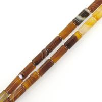 Natural Lace Agate Beads, Column, 4x13mm, Hole:Approx 1.5mm, 31PCs/Strand, Sold Per Approx 15 Inch Strand