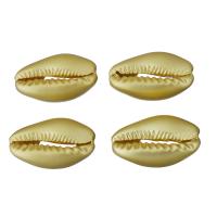 Brass Jewelry Finding, Shell, gold color plated, nickel, lead & cadmium free, 16.5x10x6mm, 10PCs/Lot, Sold By Lot