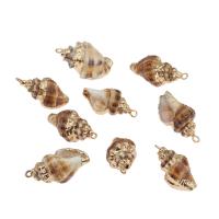 Shell Pendants, with Brass, Conch, gold color plated, 27x13x13mm, Hole:Approx 2mm, Approx 10PCs/Bag, Sold By Bag