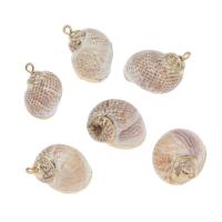 Shell Pendants, with Brass, Conch, gold color plated, white, 31x20x20mm, Hole:Approx 2mm, Approx 10PCs/Bag, Sold By Bag