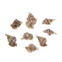 Shell Pendants with Brass Conch gold color plated Approx 2mm Approx Sold By Bag