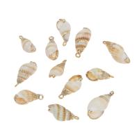 Shell Pendants, with Brass, Conch, gold color plated, 21*8*8mm-27*10*10mm, Hole:Approx 2mm, Approx 5PCs/Bag, Sold By Bag
