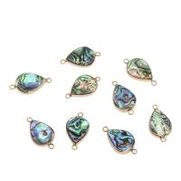 Shell Connector, Abalone Shell, with Brass, Teardrop, gold color plated, 1/1 loop, 26x25x4mm, Hole:Approx 2mm, Approx 10PCs/Bag, Sold By Bag