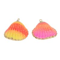 Shell Pendants with Brass gold color plated 24*23*8mm-37*32*13mm Approx 2mm Approx Sold By Bag