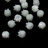 Natürliche Süßwasser Muschel Perlen, Blume, geschnitzt, DIY & verschiedene Größen vorhanden, weiß, Bohrung:ca. 1mm, 20PCs/Menge, verkauft von Menge
