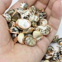 Natural Trumpet Shell Pendants, with Brass, Conch, gold color plated, different styles for choice, Hole:Approx 2mm, 10PCs/Bag, Sold By Bag