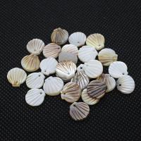 Pingentes de concha branca natural, Ostra, joias de moda & DIY, Mais cores pare escolha, Buraco:Aprox 1mm, 10PCs/Bag, vendido por Bag