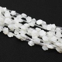 Perles en coquillage blanc naturel, coquille blanche, fleur, styles différents pour le choix, blanc, 8mm, 20PC/sac, Vendu par sac