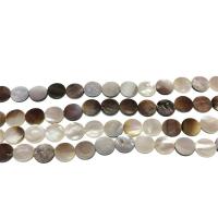 Perles en coquillage blanc naturel, coquille blanche, Plat rond, DIY, 12mm, Trou:Environ 1mm, Environ 30PC/brin, Vendu par Environ 14.9 pouce brin