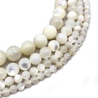 Vit Lip Shell Pärlor, Rund, olika storlek för val, vit, Hål:Ca 1mm, Såld Per Ca 14.9 inch Strand