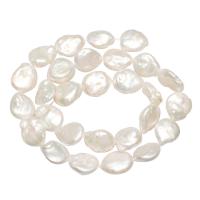 Perle perline Keishi coltivate d'acqua dolce, perla d'acquadolce coltivata naturalmente, Cerchio piatto, naturale, bianco, 13mm, Foro:Appross. 0.8mm, Venduto per Appross. 15 pollice filo