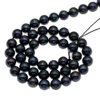 South Sea Shell perle, Krug, različite veličine za izbor, crn, Rupa:Približno 1mm, Prodano Per Približno 14.9 inčni Strand