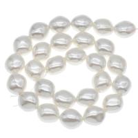 South Sea Shell Beads, Rhombus, DIY, white, 16x14x11mm, Hole:Approx 1mm, Approx 27PCs/Strand, Sold Per Approx 14.9 Inch Strand