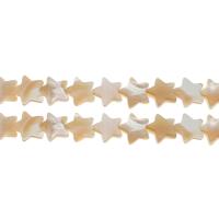 South Sea Shell perler, Flat Stjerne, du kan DIY, flere farver til valg, 12x12x4mm, Hole:Ca. 1mm, Ca. 31pc'er/Strand, Solgt Per Ca. 14.9 inch Strand