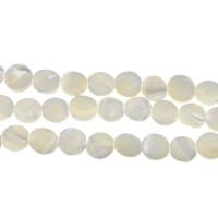 South Sea Shell Beads, Flat Round, DIY, white, 12x12x3mm, Hole:Approx 1mm, Approx 31PCs/Strand, Sold Per Approx 14.9 Inch Strand