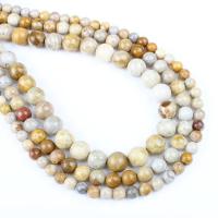Chrysanthemum Stone Beads, Round, different size for choice, Hole:Approx 1mm, Sold Per Approx 14.9 Inch Strand