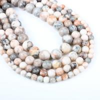 Zebra Jasper Beads, Round, different size for choice, pink, Hole:Approx 1mm, Sold Per Approx 14.9 Inch Strand