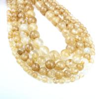 Watermelon Brown Beads Round golden Approx 1mm Sold Per Approx 14.9 Inch Strand