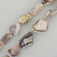 persische Jade Perle, 22-40x16-32x8-11mm, Bohrung:ca. 1.5mm, ca. 13PCs/Strang, verkauft per ca. 16 ZollInch Strang
