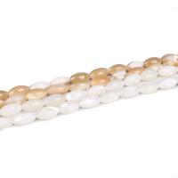 Trochus Beads with Seedbead Sold Per Approx 14 Inch Strand