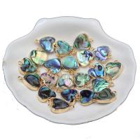 Shell Connector Abalone Shell Unisex silver color 14mm Sold By Lot