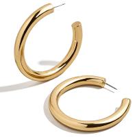 Messing Hoop Earring, med Stål, for kvinde, guld, 50x4.80x6mm, 2par/Lot, Solgt af Lot