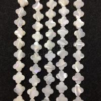 Trochus Beads DIY 12mm Sold Per Approx 15 Inch Strand