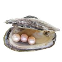 Freshwater Cultured Love Wish Pearl Oyster, Edison Pearl, Potato, more colors for choice, 11-12mm, Sold By PC